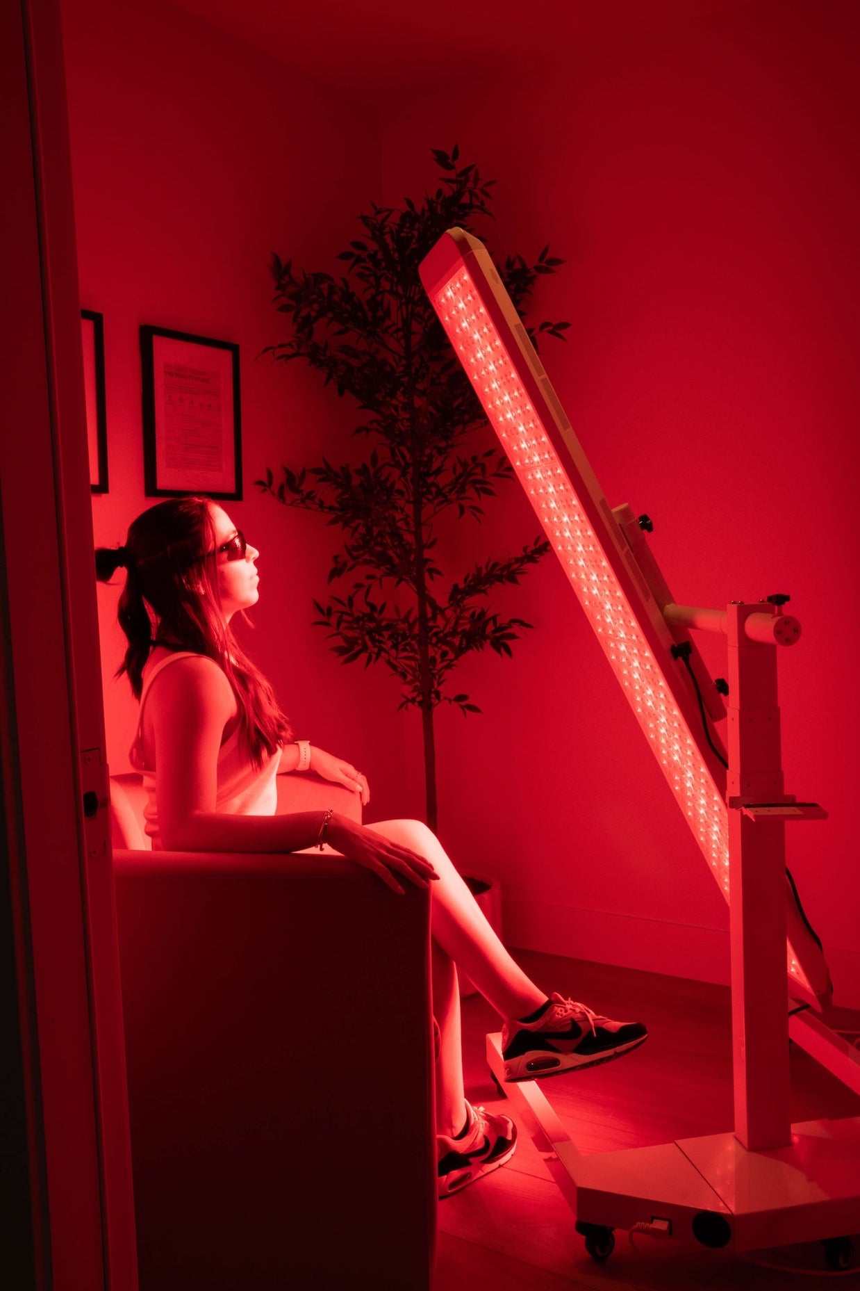 Renew Red Light NEW: The Panorama Panel