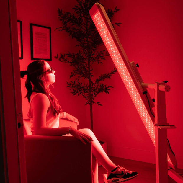 Renew Red Light NEW: The Panorama Panel