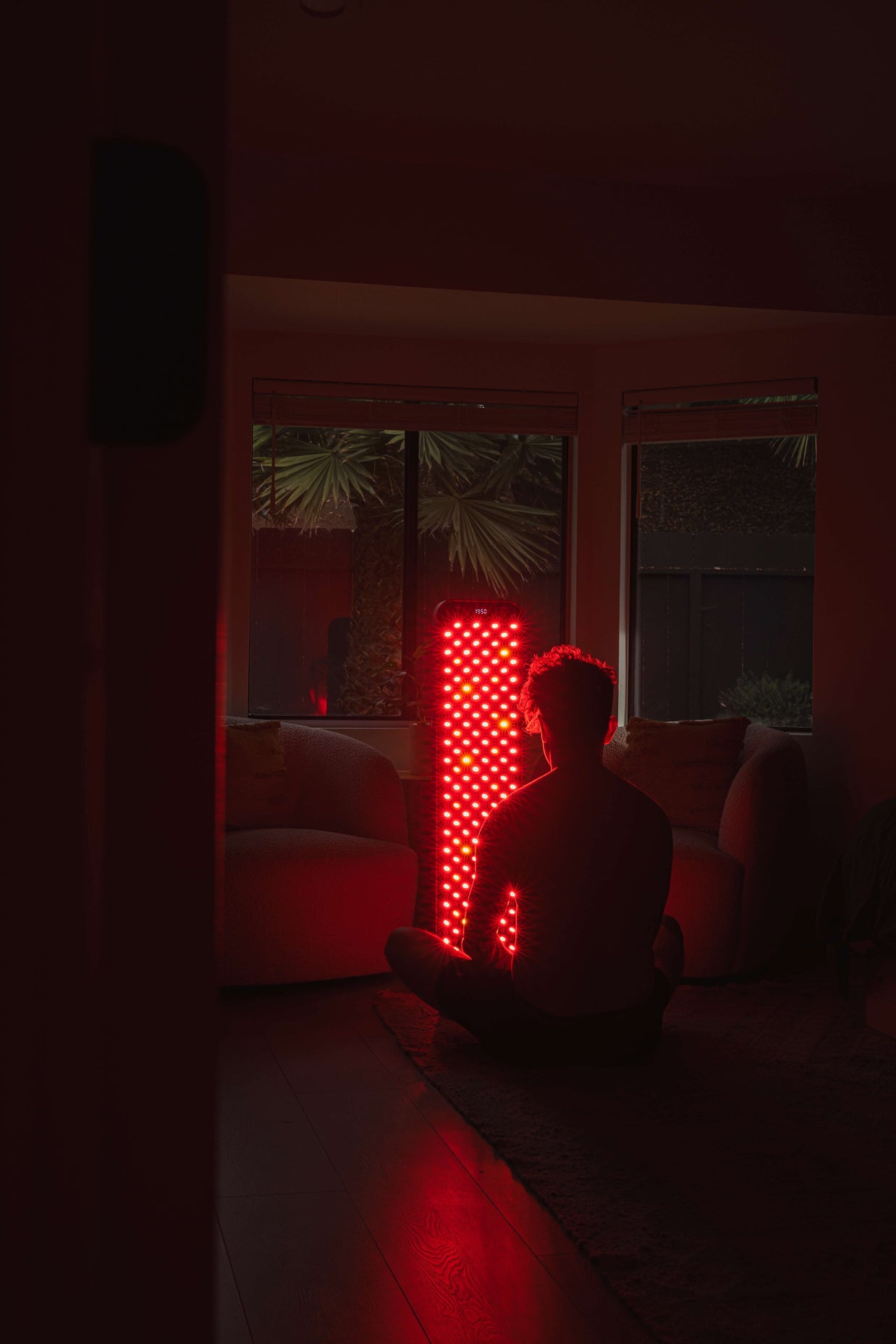 Renew Red Light The Large Panel