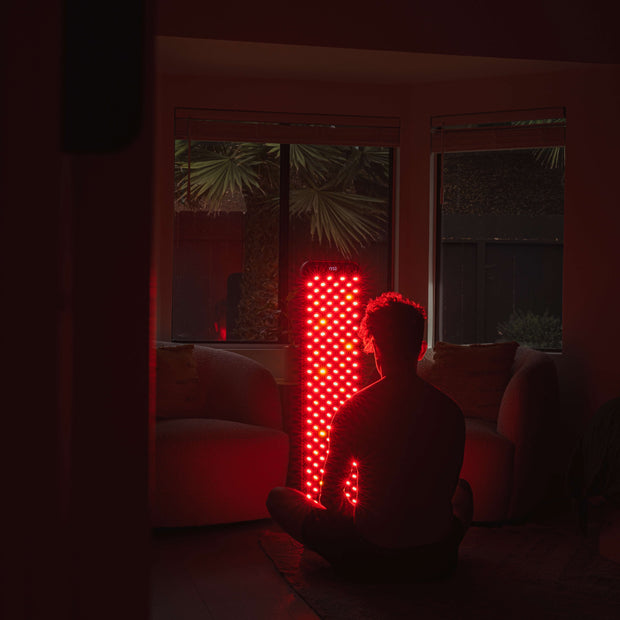 Renew Red Light The Large Panel